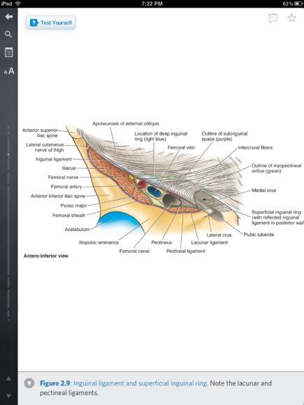 Using a venerable anatomy e-book on the iPad with Inkling