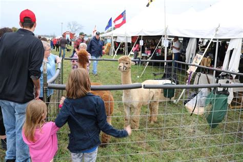 Genesee Valley Hunt Races delight locals, visitors alike | Local News | thelcn.com