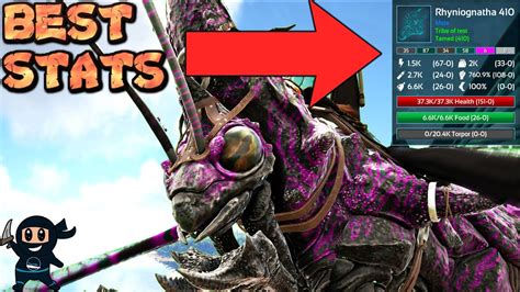 Ark: Best Stats Rhyniognatha guide - YouTube