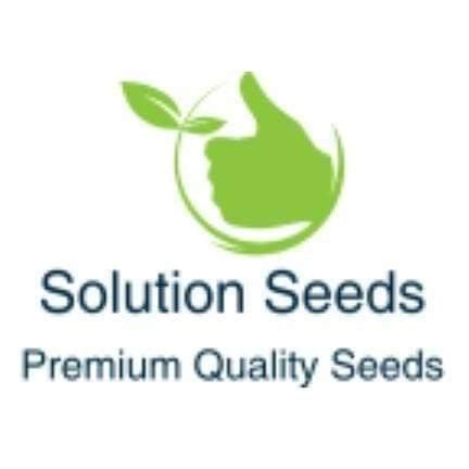 Solution Seeds | Khanpur