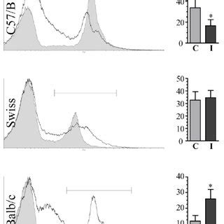 Epidermal DiOC6 + cells' red fluorescence analysis (MitoSOX probe). For ...