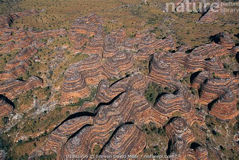 Stock photo of Aerial view of Bungle Bungle range, eroded sandstone domes, Purnululu NP W ...