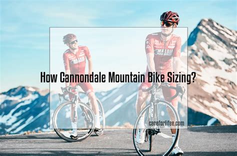 How Cannondale Mountain Bike Sizing? 2024