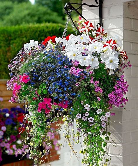 20+ Lovely Hanging Flower To Beautify Your Small Garden In Summer | Подвесные цветы, Сад на ...