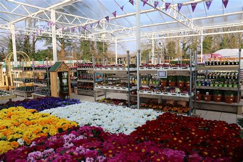 Squire's Garden Centre Woking opens with larger plant area and new cafe | Horticulture Week