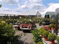 Blue Diamond buys Orchard Park Garden Centre in Dorset | HortWeek