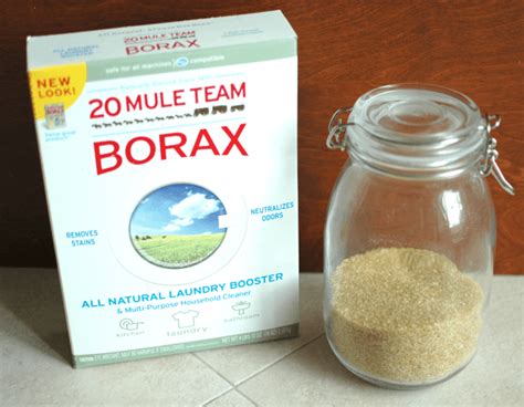 Homemade Ant Killer Recipe: DIY Borax Ant Killer - Plant Instructions