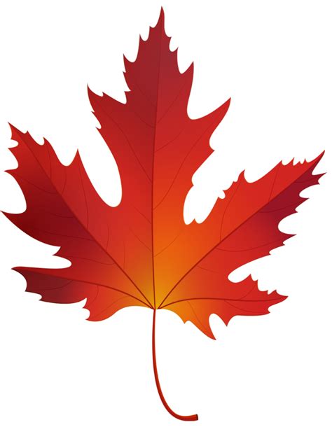 Autumn Maple Leaf 15100046 PNG