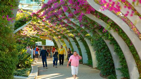 Exploring the Vibrant Southbank Park in Brisbane!