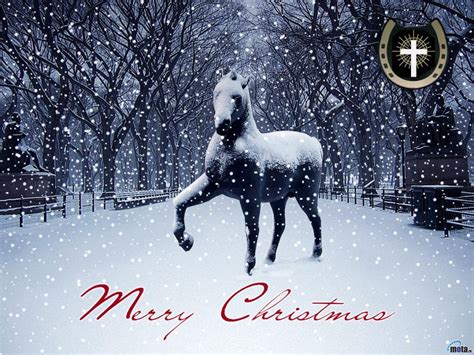 Horse in Snow Wallpaper Desktop - WallpaperSafari