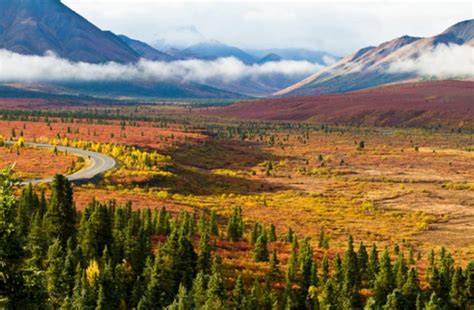 This Fall Colors Tour In Alaska Will Brighten Up The Season