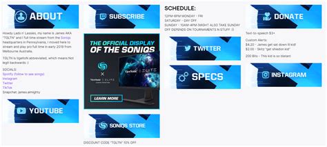 Designing Custom Twitch Panels: How and Where To Get Them | Delesign