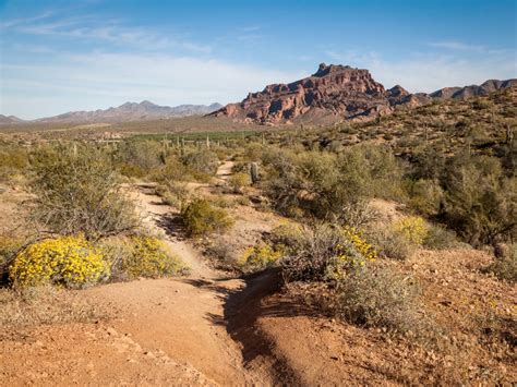 TOP 7 Best Hiking Trails in Mesa Arizona (by a local)