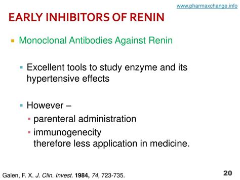 PPT - DIRECT RENIN INHIBITORS AS ANTIHYPERTENSIVE DRUGS PowerPoint Presentation - ID:4842042