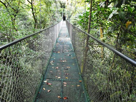 Monteverde Hanging Bridges - Costa Rica Scuba Diving Adventure with Bill Beard'sCosta Rica Scuba ...