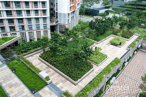 Roof Garden | Green Rooftop Garden System in Singapore