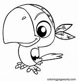 Little Parrot Coloring Page  Free Printable Pages sketch template