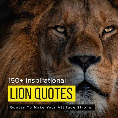 150+ Inspirational Lion Quotes To Make Your Attitude Strong | Quotesmasala