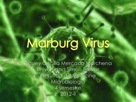 marburg virus riguey mercado marchena