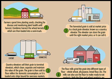 Wheat's Journey from Field to Table | EatWheat