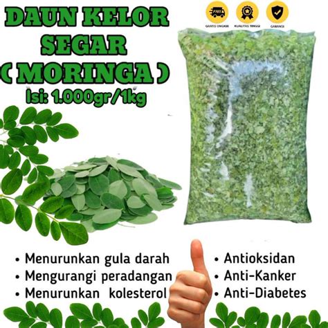 Jual Daun kelor segar asli Madura 1kg (Moringa) | Shopee Indonesia