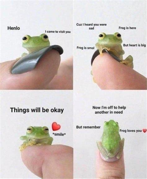 Frog loves you | /r/wholesomememes | Wholesome Memes | Know Your Meme