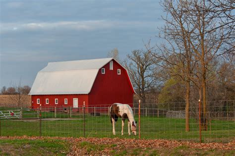 Polk County Red Barn & Horse | Nice little red barn & horse … | Flickr