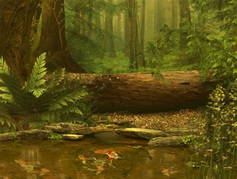 3D Forest Wallpaper - WallpaperSafari