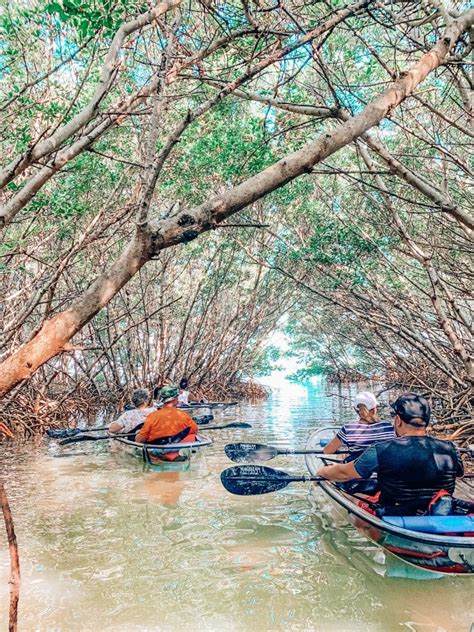 Clear Kayaking to Shell Key Preserve! | Kayaking aesthetic, Kayaking ...