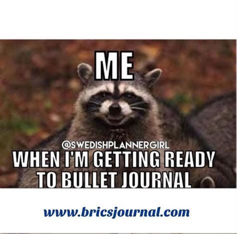 Journal Meme | Journal writing, Writing services, Professional journals