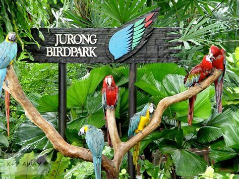 JURONG BIRD PARK: Lawatan ke taman burung jurong