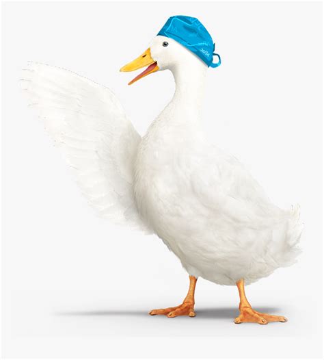 Aflac Duck Png - Transparent Aflac Duck, Png Download , Transparent Png ...