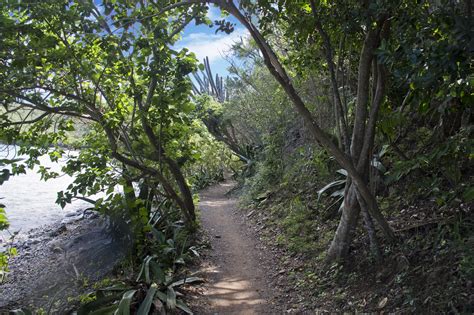 USVI National Park Trails St John - St John MagazineSt John Magazine