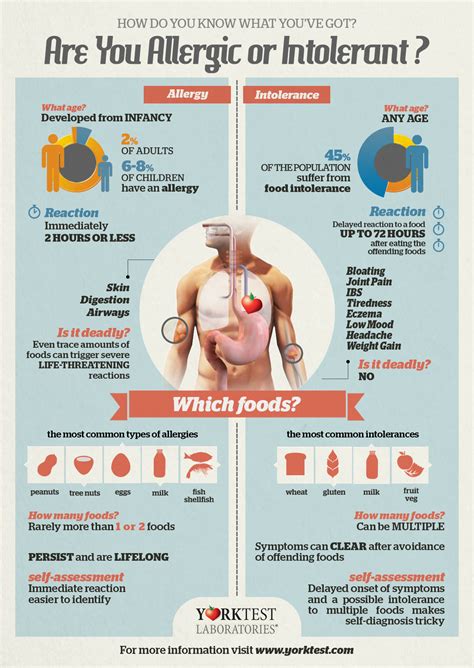 Food Allergies vs Food Intolerance: An Infographic