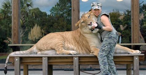 Myrtle Beach Safari – A Once in Lifetime Hands-On Wildlife Experience ...