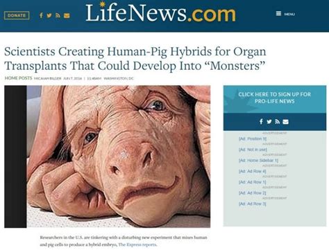 Hybrid Pig-Men! Nostradamus Saw an Event at the Time of Nibiru that ...