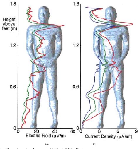 Human Magnetic Field