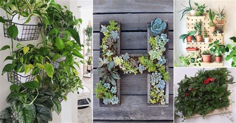 23 DIY Indoor Plant Wall Projects Anyone Can Do | Living Wall Ideas Fo