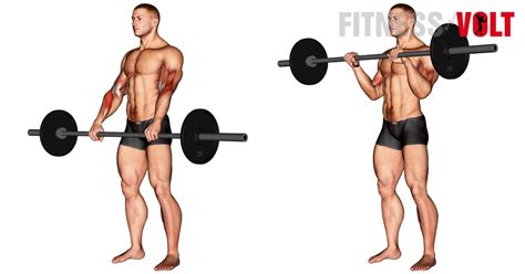 Barbell Reverse Curl : How-To, Tips. Variations and Video Guide