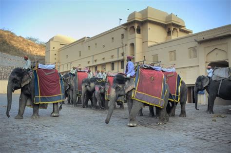 Amer Fort Sights & Attractions - Project Expedition