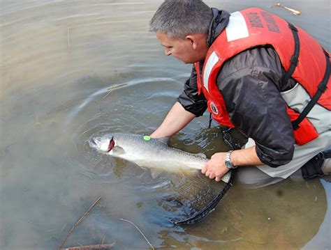 San Joaquin River and San Joaquin River Restoration Program - Water ...