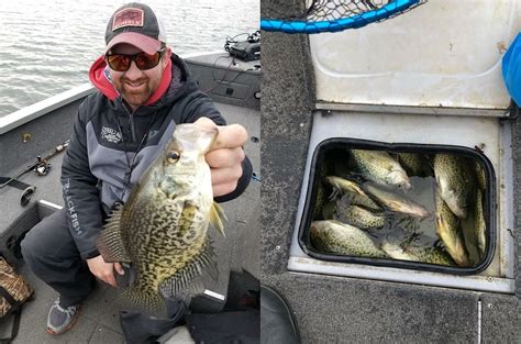 Fall Crappie Fishing: Finesse Tactics - Virtual Angling