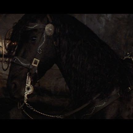 zorro's horse tornado | Mask Of Zorro, The (1998) | Horses, Wild horses ...