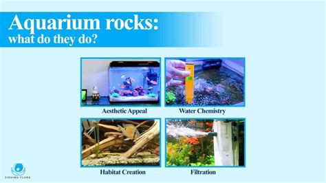 Can Rocks Lower Ph In Aquarium? [Balancing Aquarium]