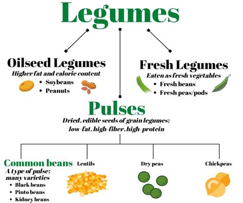 Pulse Crops and their Key Role as Staple Foods in Healthful Eating ...