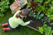 Gardener’s Guide To Raised Bed Soil | Kellogg Garden Organics™