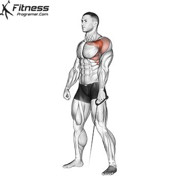 an image of a man with muscles highlighted