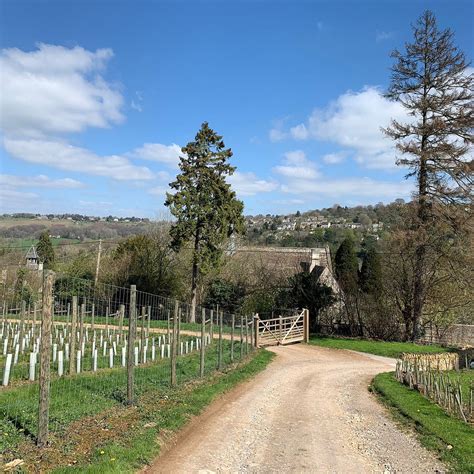 WOODCHESTER VALLEY VINEYARD - Qué SABER antes de ir