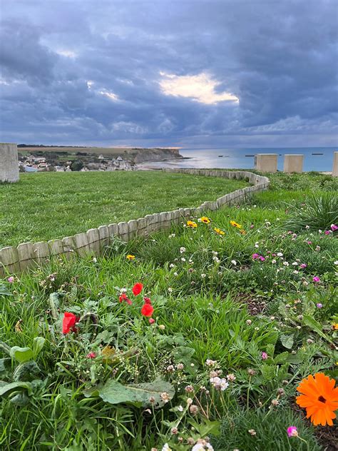 The Beaches of Normandy