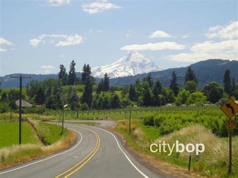 5 BEST Things to Do at Hood River Fruit Loop